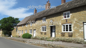 Image number 